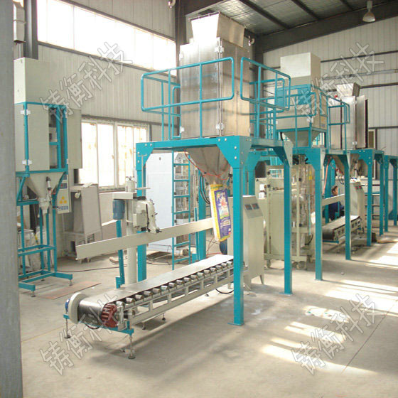 噸袋打包機(jī)